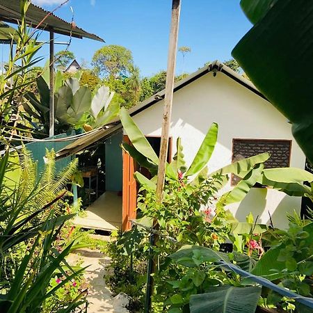 Casita Tangara Con Balcon Y Agua Caliente Apartment Drake Bay ภายนอก รูปภาพ