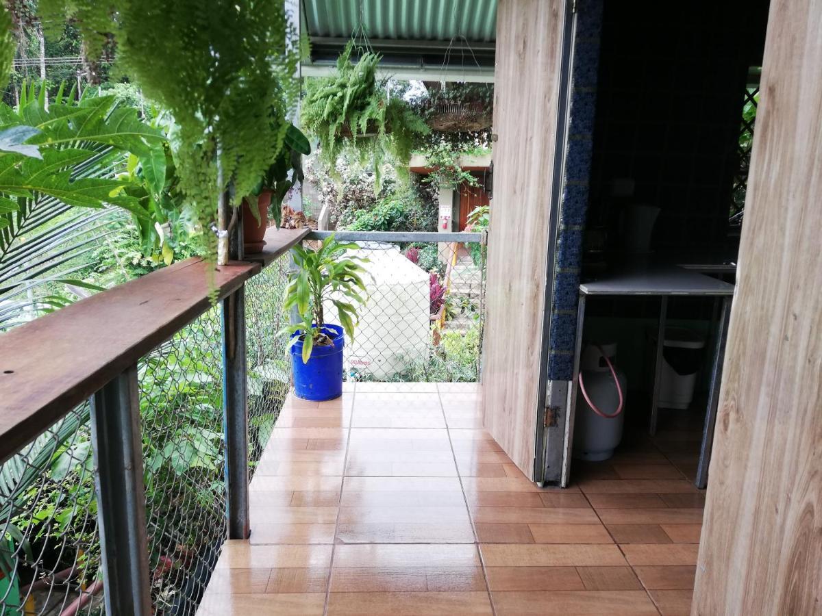 Casita Tangara Con Balcon Y Agua Caliente Apartment Drake Bay ห้อง รูปภาพ