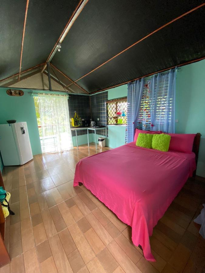 Casita Tangara Con Balcon Y Agua Caliente Apartment Drake Bay ภายนอก รูปภาพ