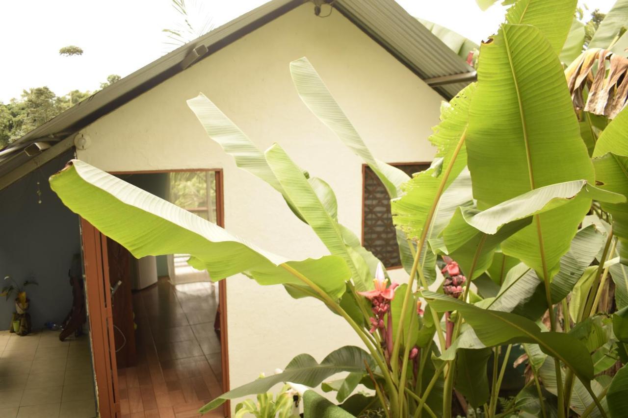 Casita Tangara Con Balcon Y Agua Caliente Apartment Drake Bay ภายนอก รูปภาพ