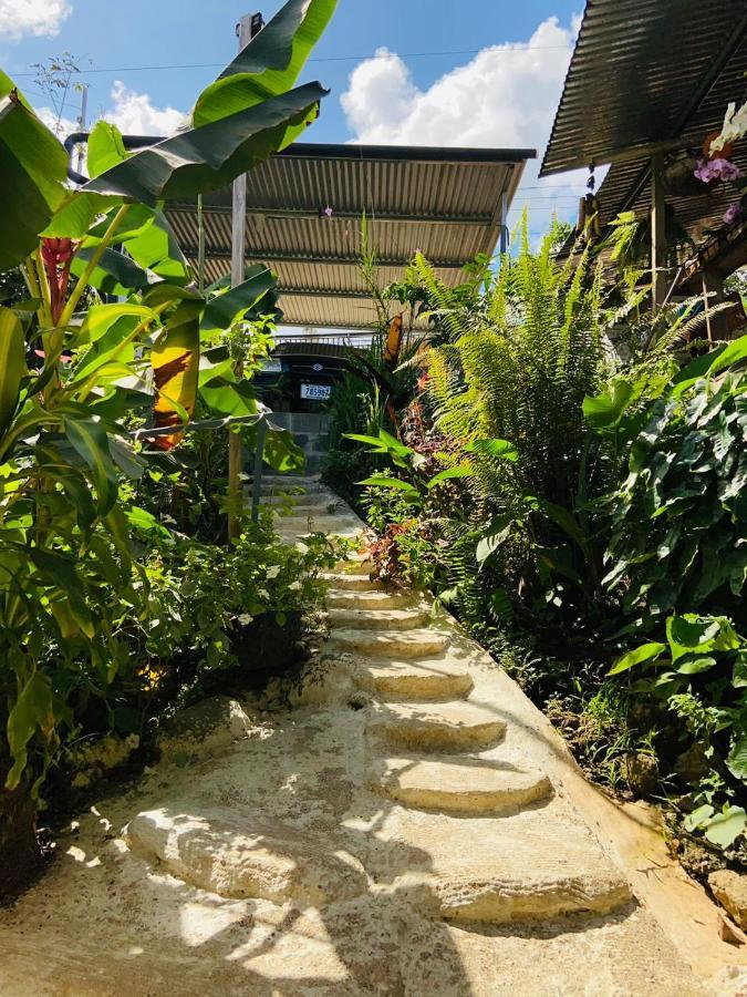 Casita Tangara Con Balcon Y Agua Caliente Apartment Drake Bay ภายนอก รูปภาพ