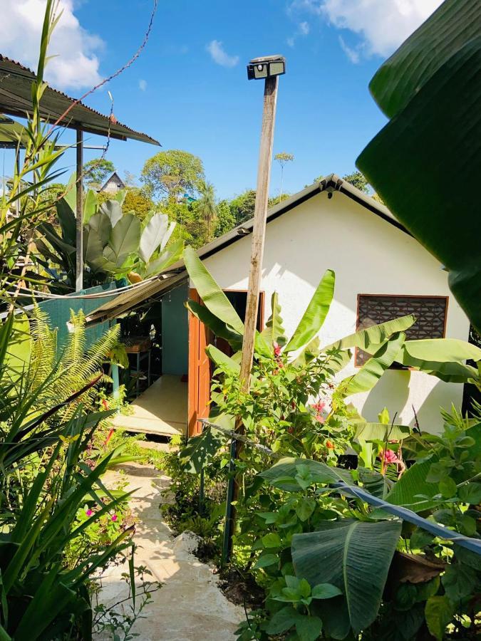 Casita Tangara Con Balcon Y Agua Caliente Apartment Drake Bay ภายนอก รูปภาพ