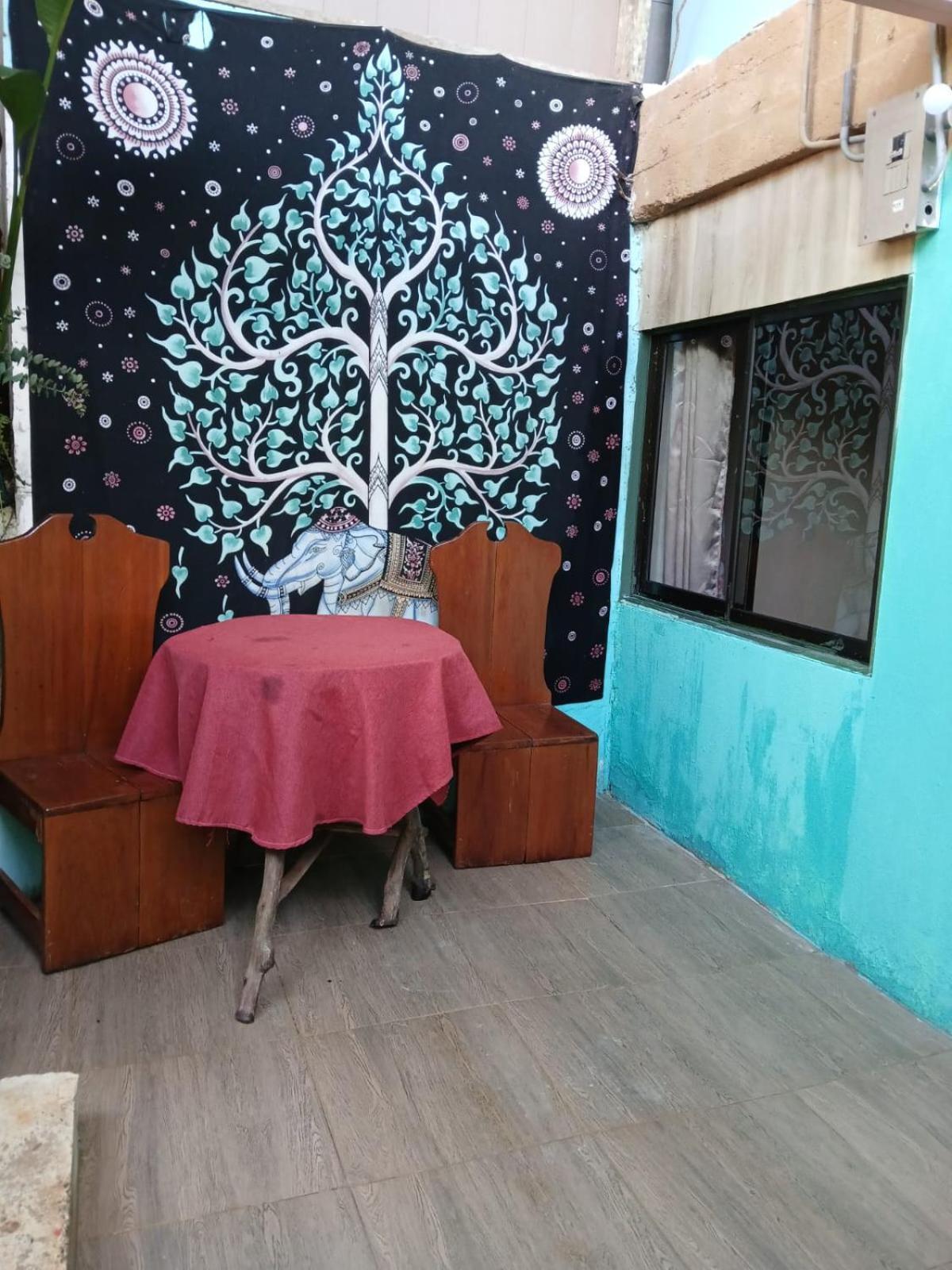 Casita Tangara Con Balcon Y Agua Caliente Apartment Drake Bay ภายนอก รูปภาพ